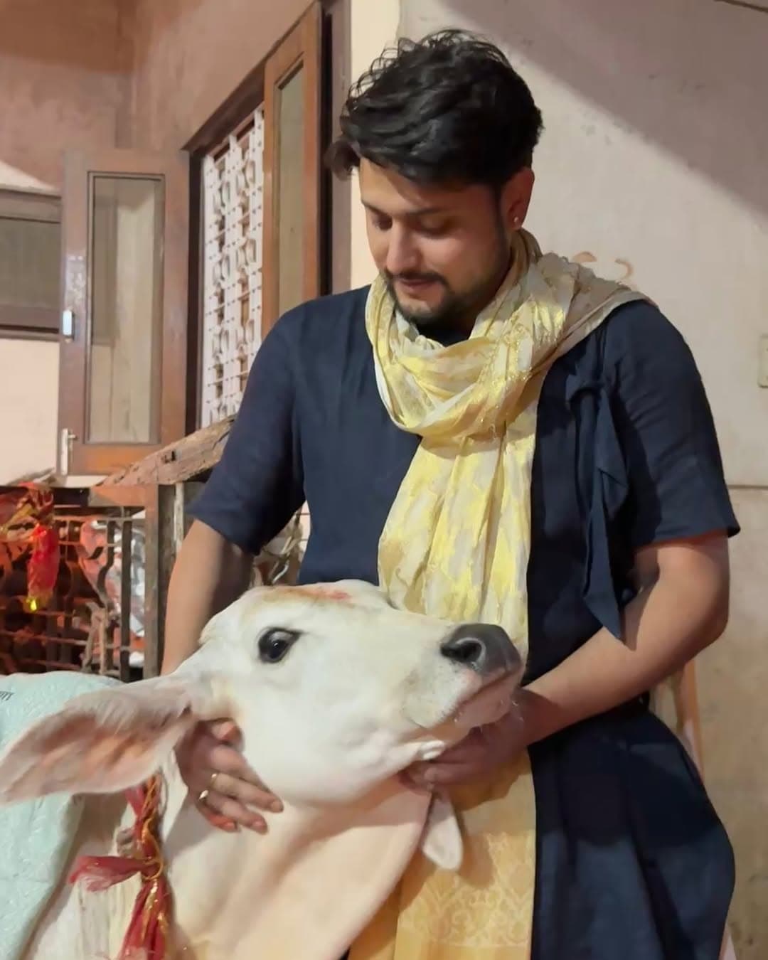 गौ माता सेवा