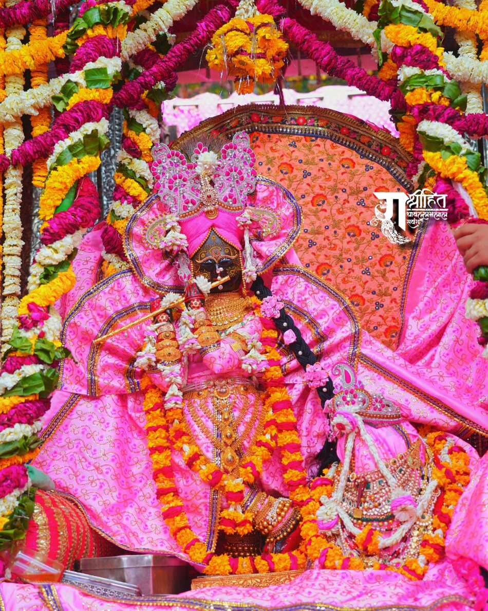 होली डोल उत्सव