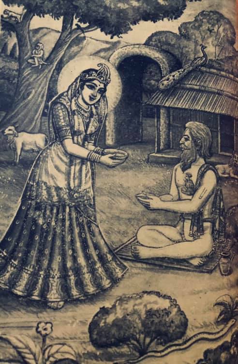 श्री हित नेह नागरी दास जी